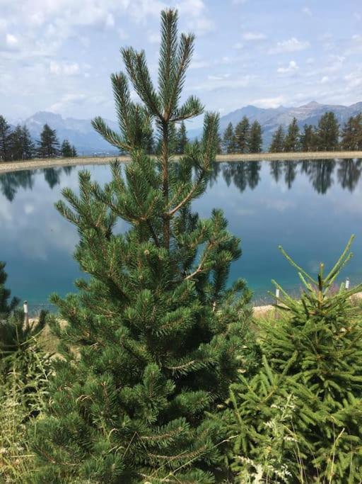 Appart Tres Ensoleille 5-6 Pers Au Pied Des Pistes Ancelle Luaran gambar